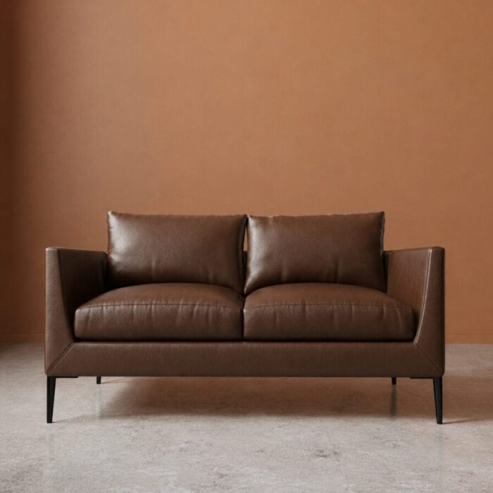 Aravali 2 Seater Sofa - Dark Brown Leatherette
